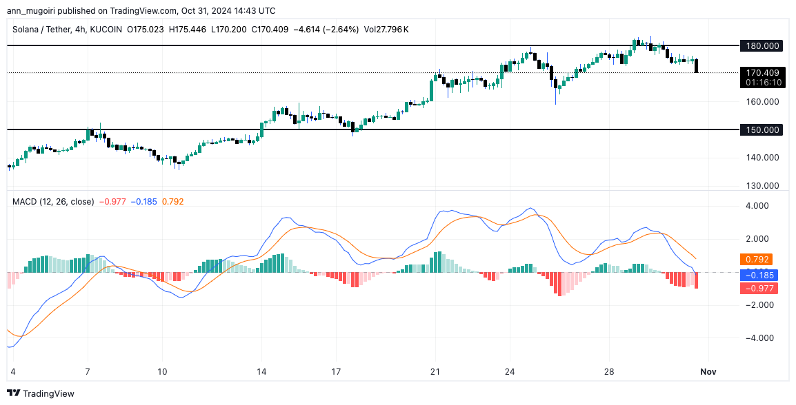 Expert Forecasts Solana Price Fractal to Propel SOL to $800