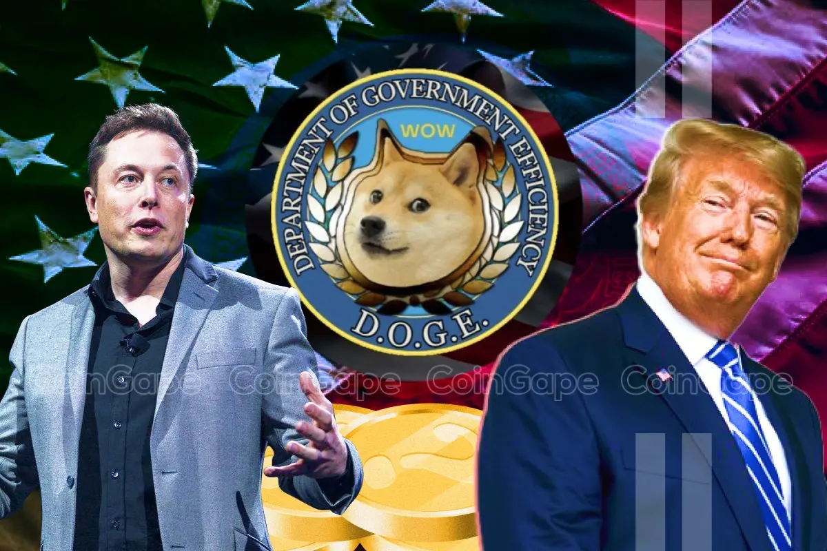 Elon Musk D.O.G.E. Department of Government Efficiency Ripple CLO Stuart Alderoty US SEC spending SEC Chair Gary Gensler