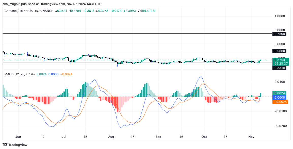 How Far Can Cardano Price Rise in November?