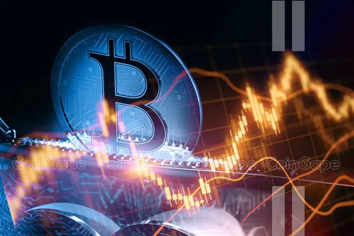 Bitcoin news BTC whale accumulation Bitcoin price rally