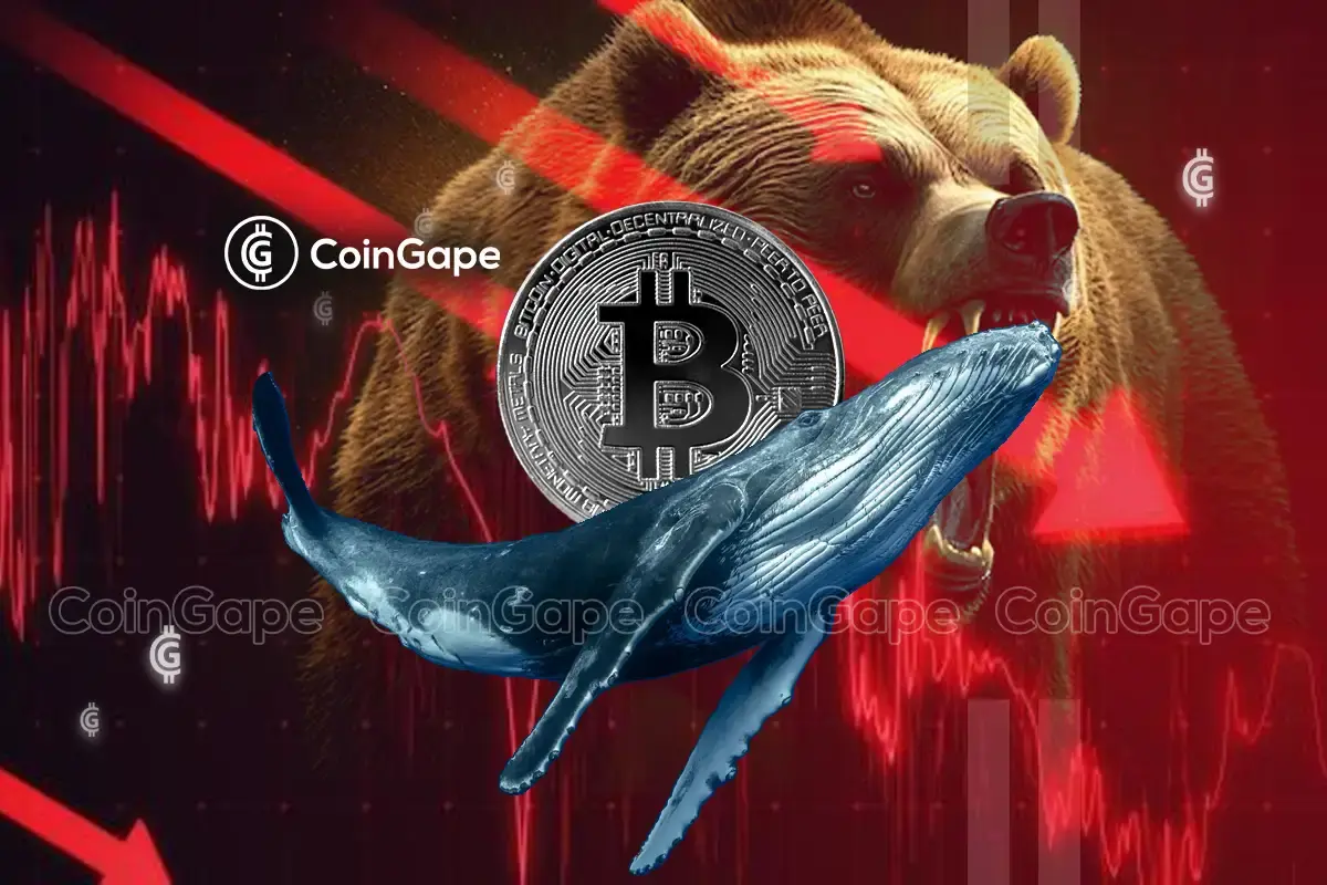 Bitcoin Whale Accumulation Signals BTC Price Hitting $100K Today