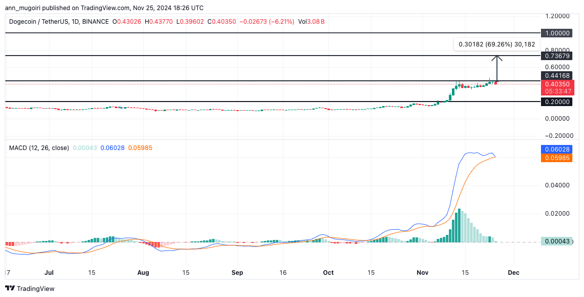 Here’s What’s Fueling Dogecoin Price Rally to ATH Soon