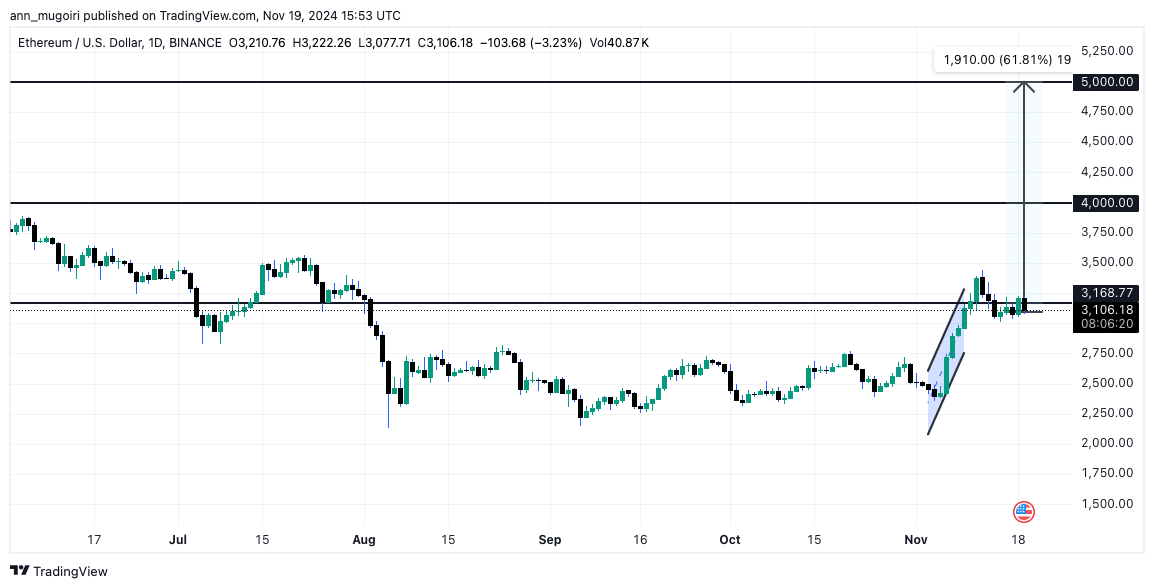 Will Ethereum Price Hit $5,000 in November 2024?