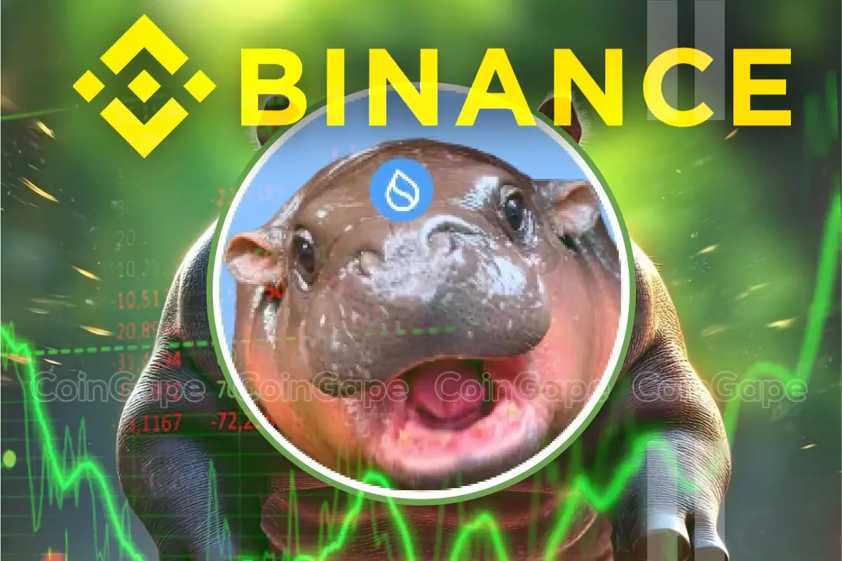 HIPPO Price Rockets 65% As Binance Lists Sudeng, Rally To Sustain?