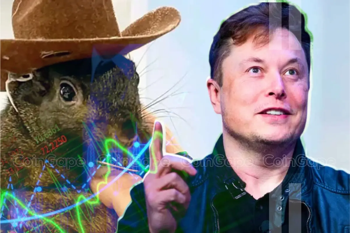 PNUT Price Elon Musk X Peanut The Squirrel