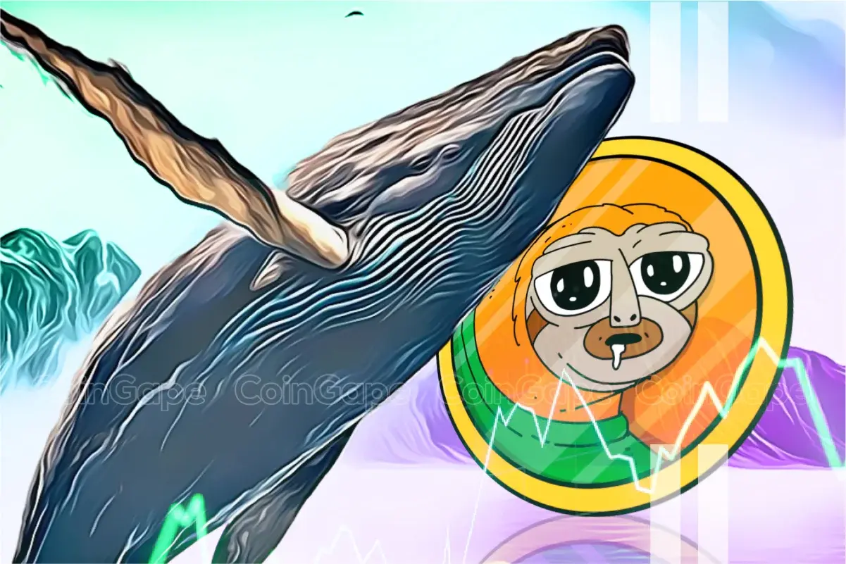 SLERF Price Rockets 64% Amid Massive Whale Buying, Rally To Continue?