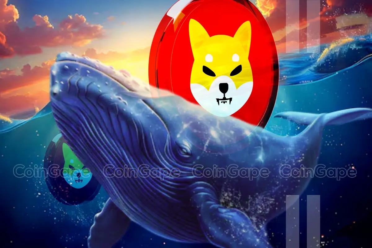 Shiba Inu Whale Activity On The Rise As SHIB Eyes 300% Rally