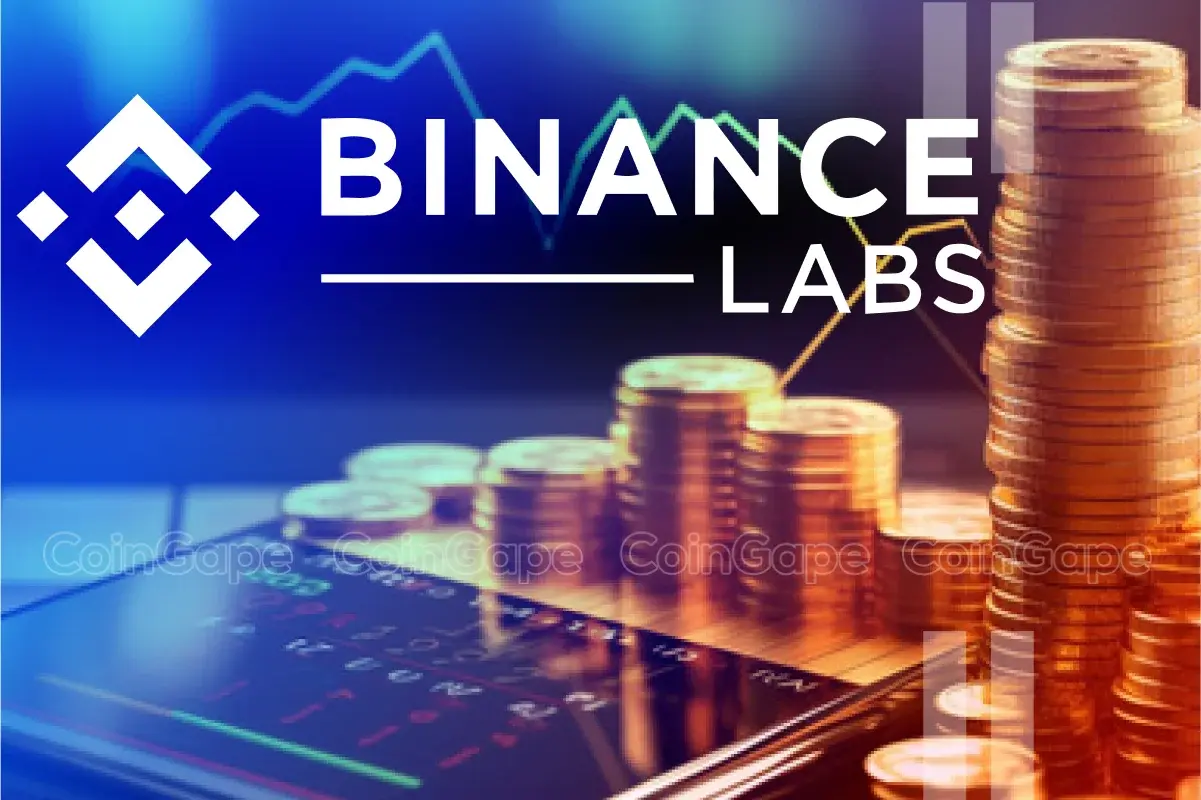 These Crypto Tokens Fall 5% On Selling Reportedly By Binance Labs