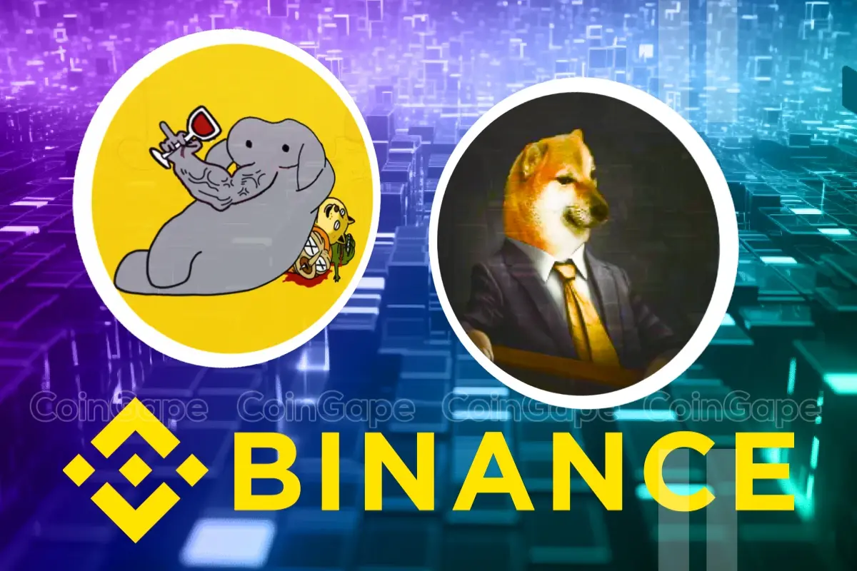 WHY & CHEEMS Under Investors’ Radars As Binance Expands Support, What’s Next?