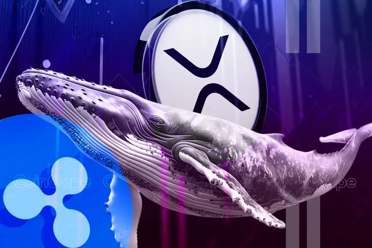 XRP News Ripple whales XRP price rally