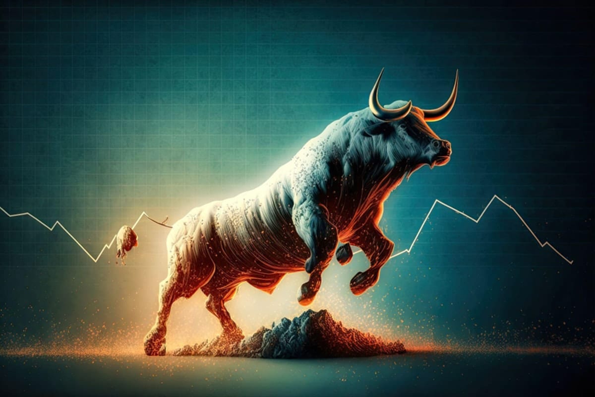 Cryptos in the Bull Run