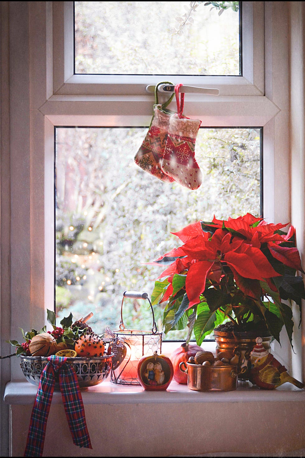 decorated window at christmas Poinsettias