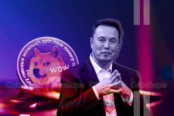 Elon Musk Says 'D.O.G.E. Has Real Potential,' Dogecoin Jumps