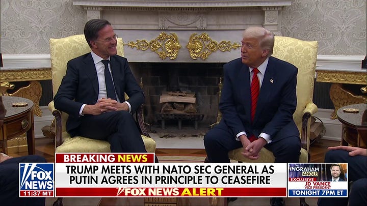 NATO chief praises Trump: 